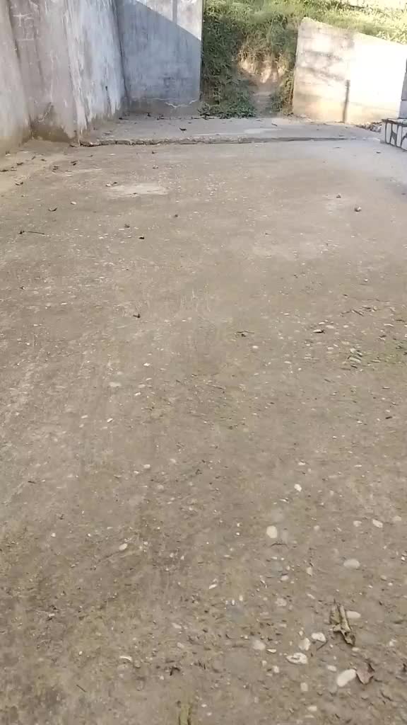 @Preppy_vlogs
