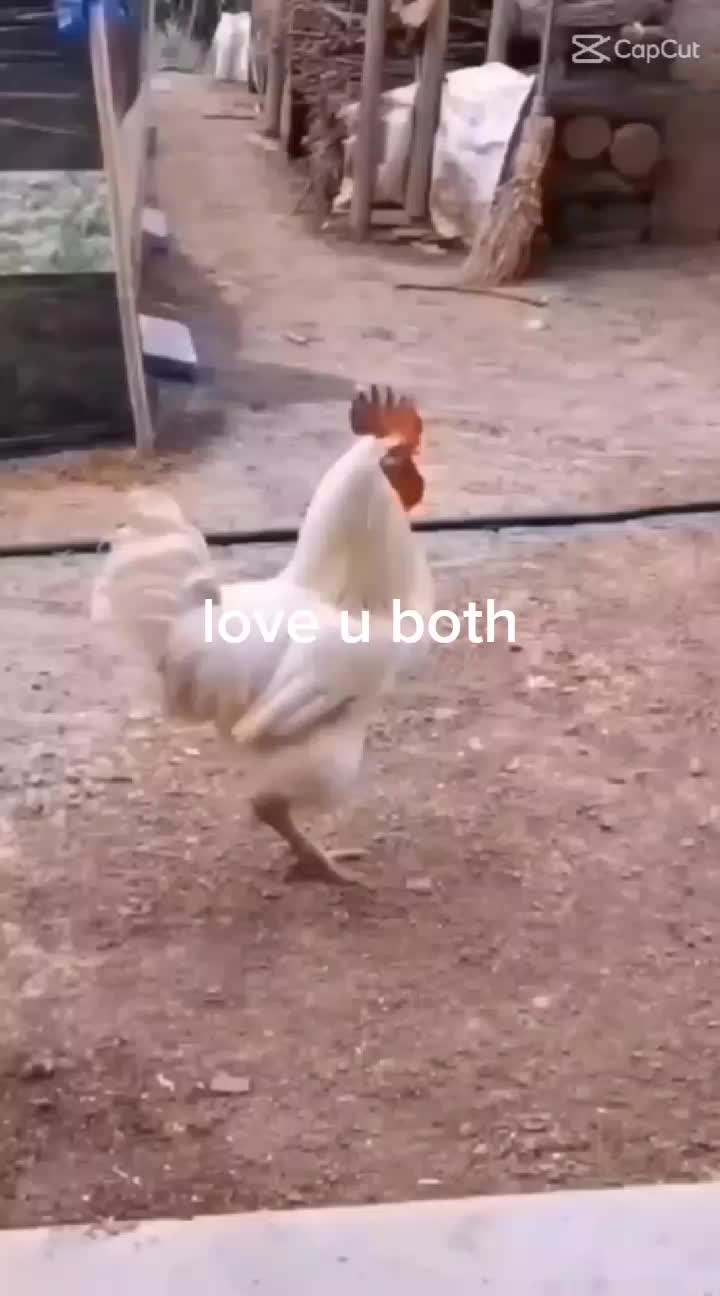 @colarat