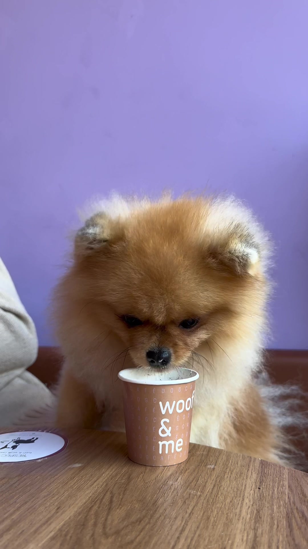 @yoshi.thepom