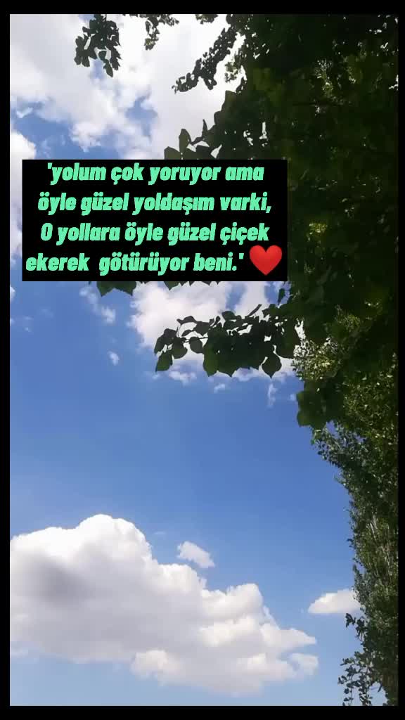 @🌼🦋🍃