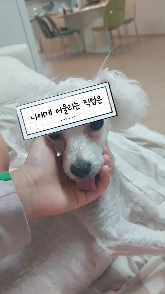 @째아집사✧٩(ˊωˋ*)و✧