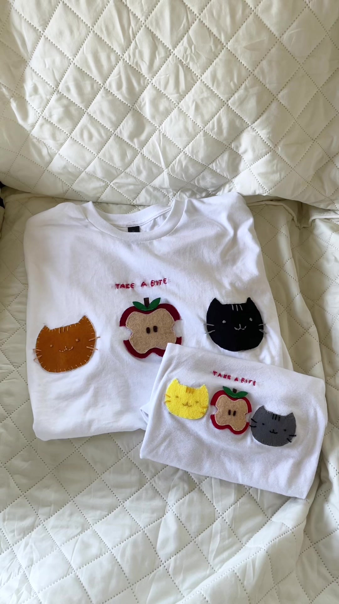 @meow ౨ৎ