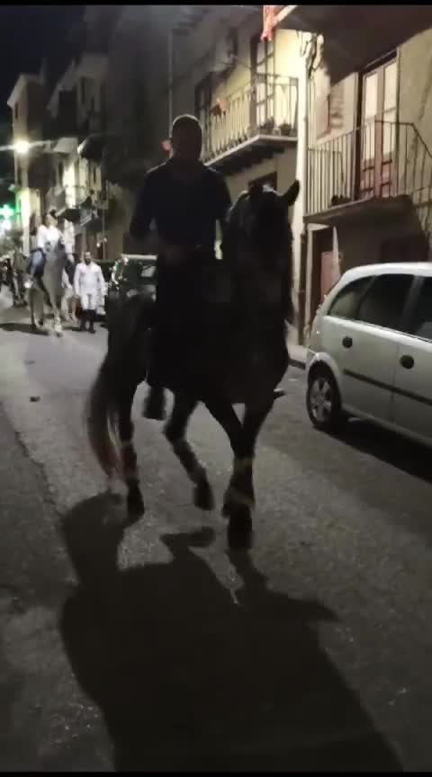 @pietrocanino