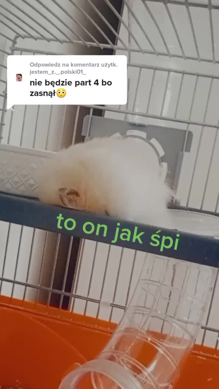 @hejka