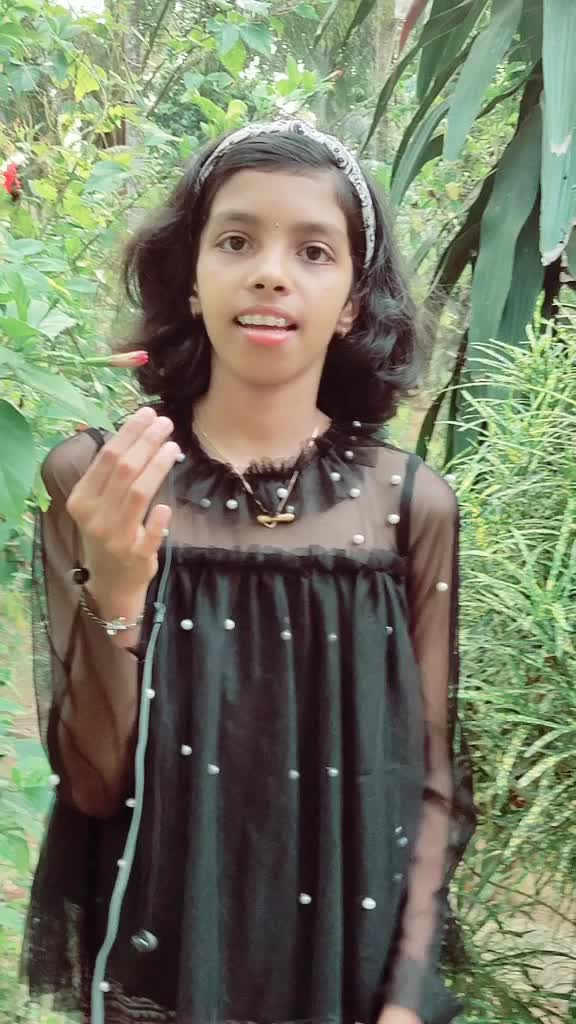 @devanandams