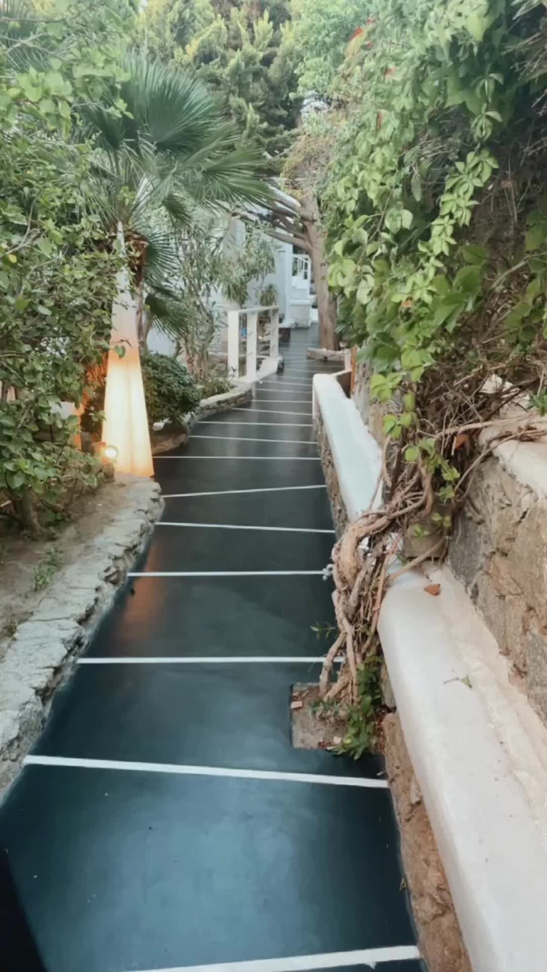 @nes_li.92