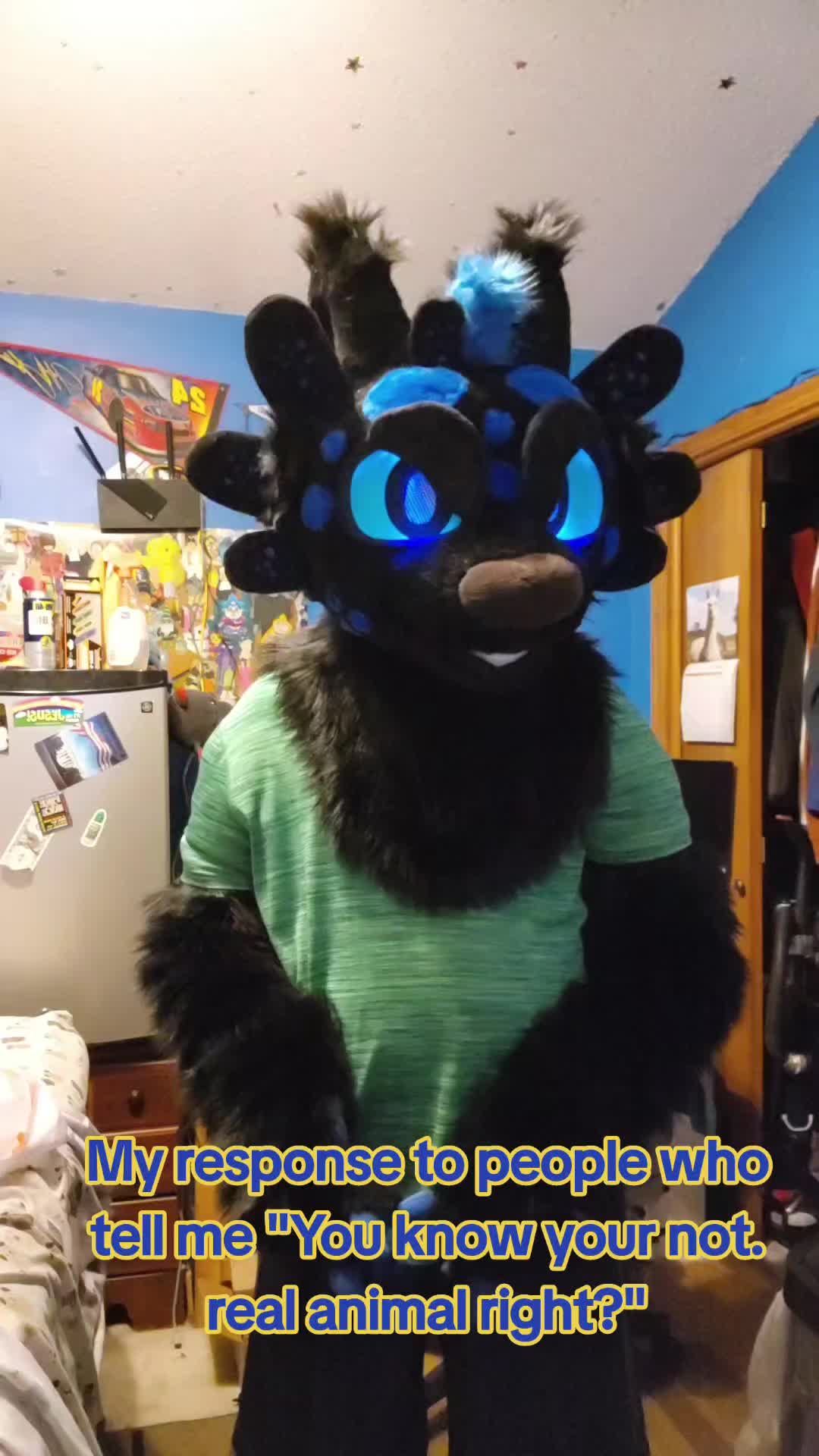 @DashTheNightFuryTaidum