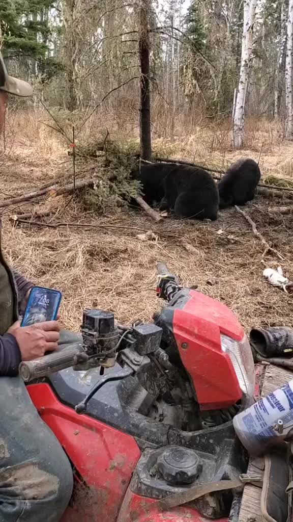 @ddwildhunts