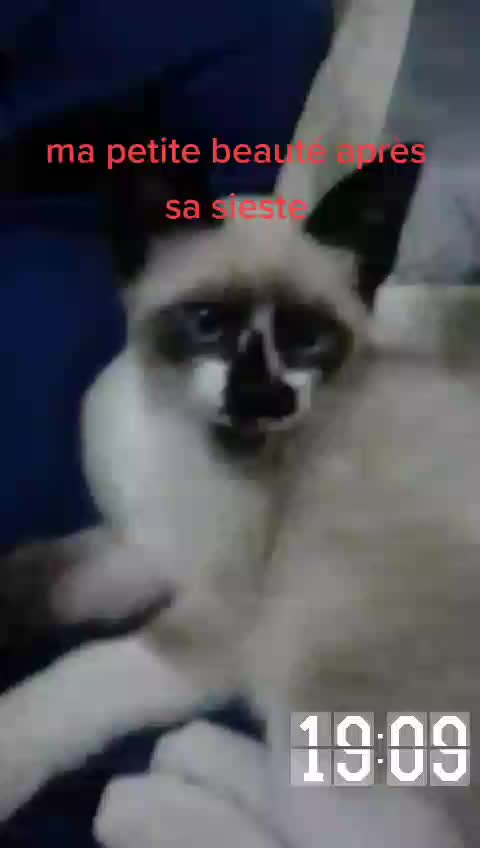 @Lisa ❤❤