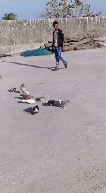 @S Bhisti