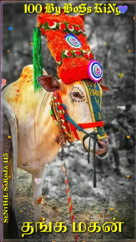 @கிருஷ்ணகிரிகாரன்டா☠☠