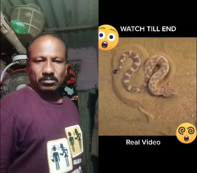 @user831252788