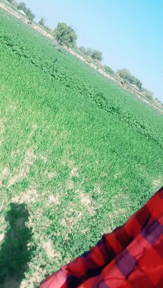 @royal thakor king 5@