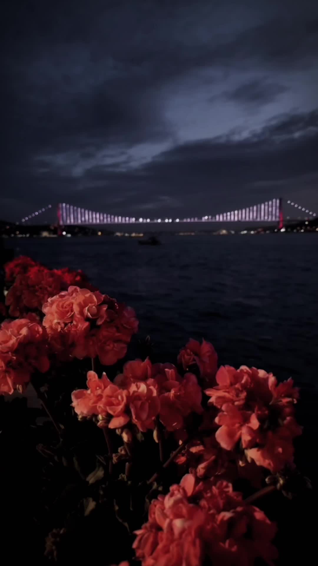 @Kenan Özgür