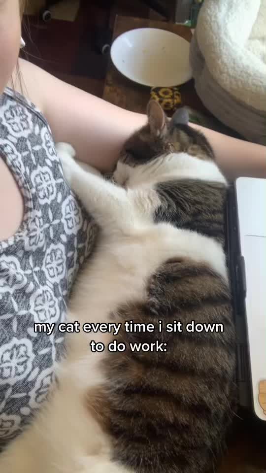 @Li