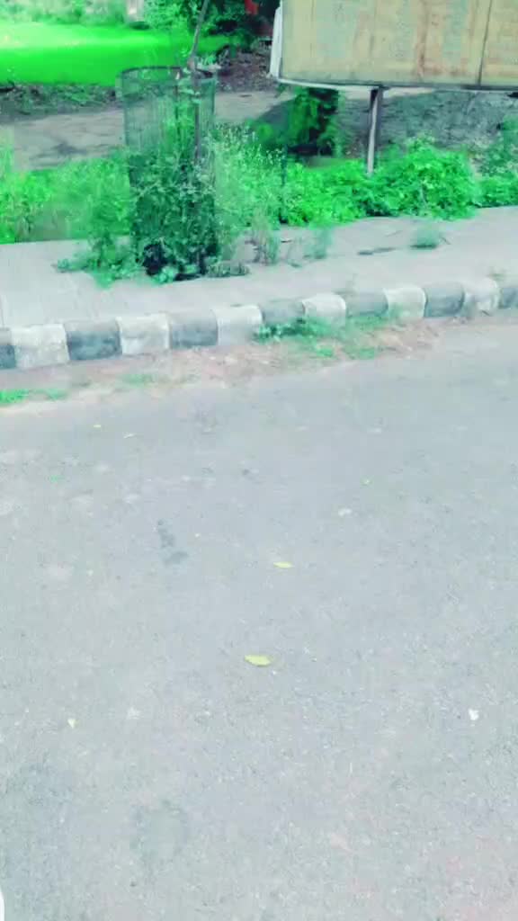 @Meet Kundu