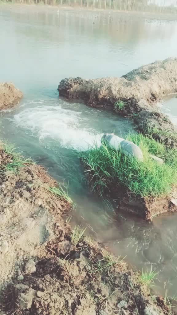 @jaglan kabaddi