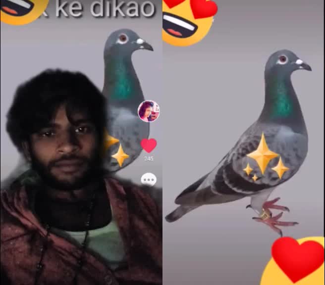 @user4973618665283