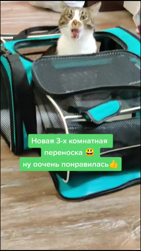@marina65
