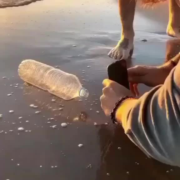 @l9l
