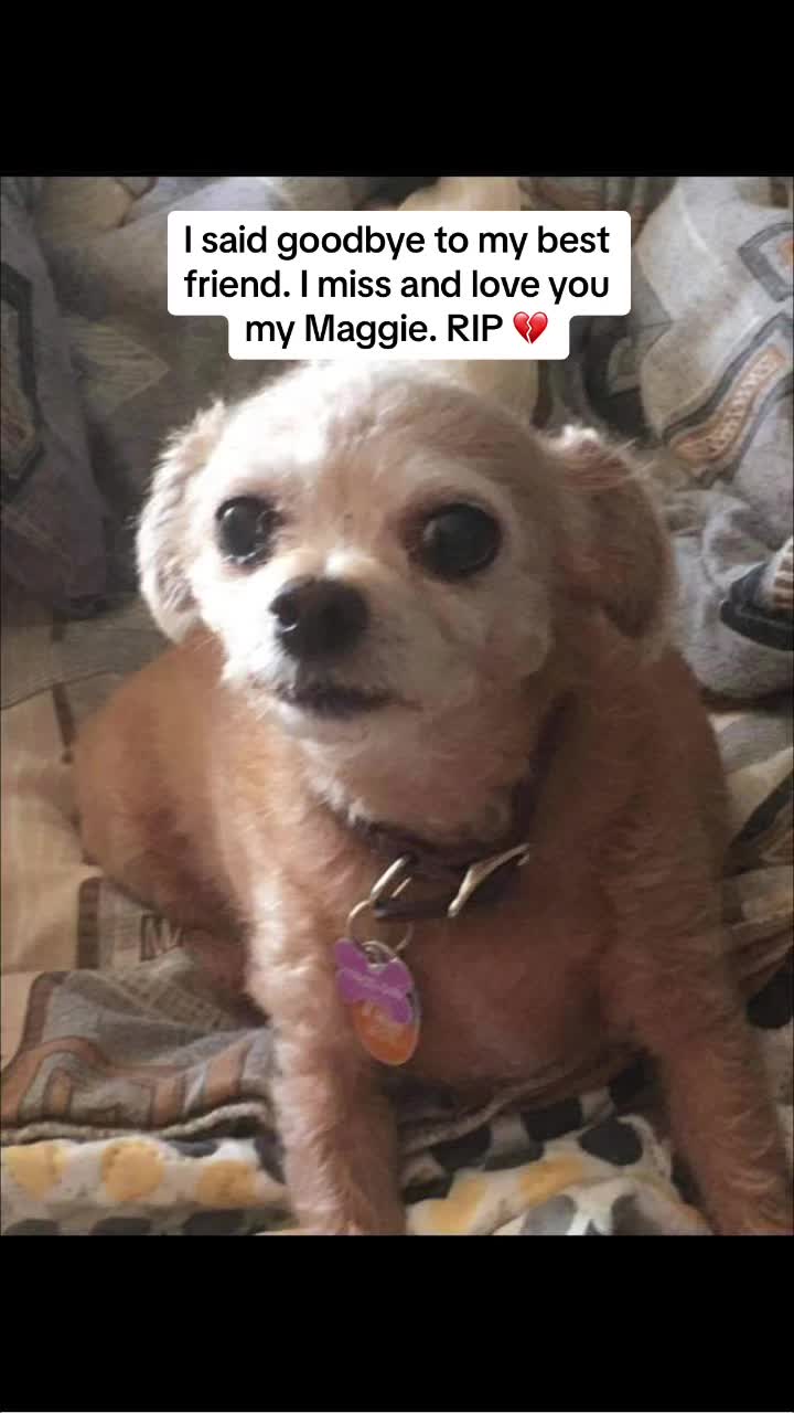 @Magsmya 🇨🇦❤️