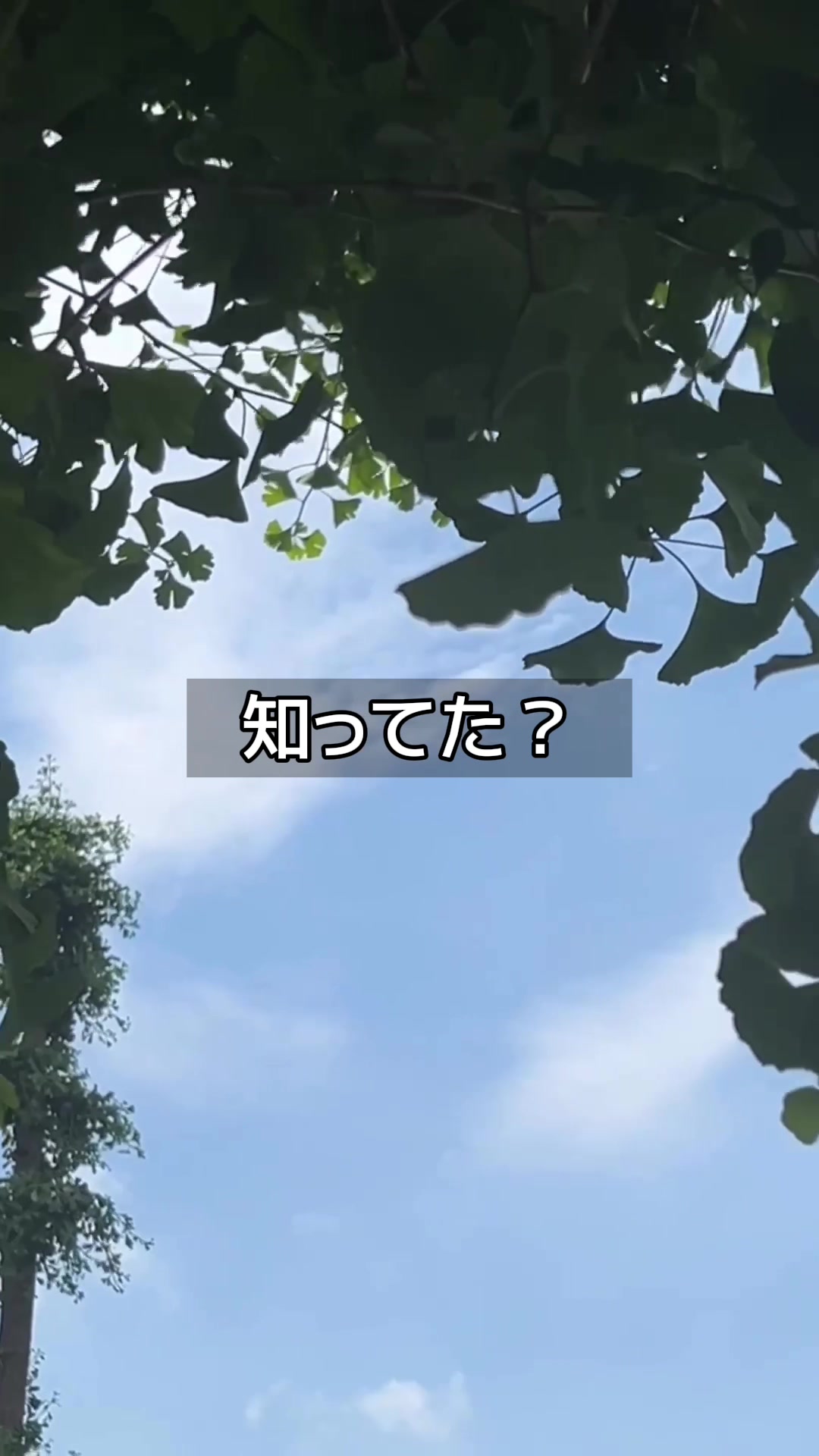 @masumin.888