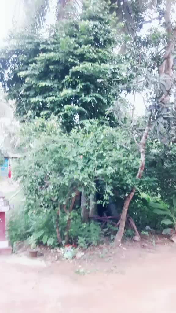 @Mintu Kar