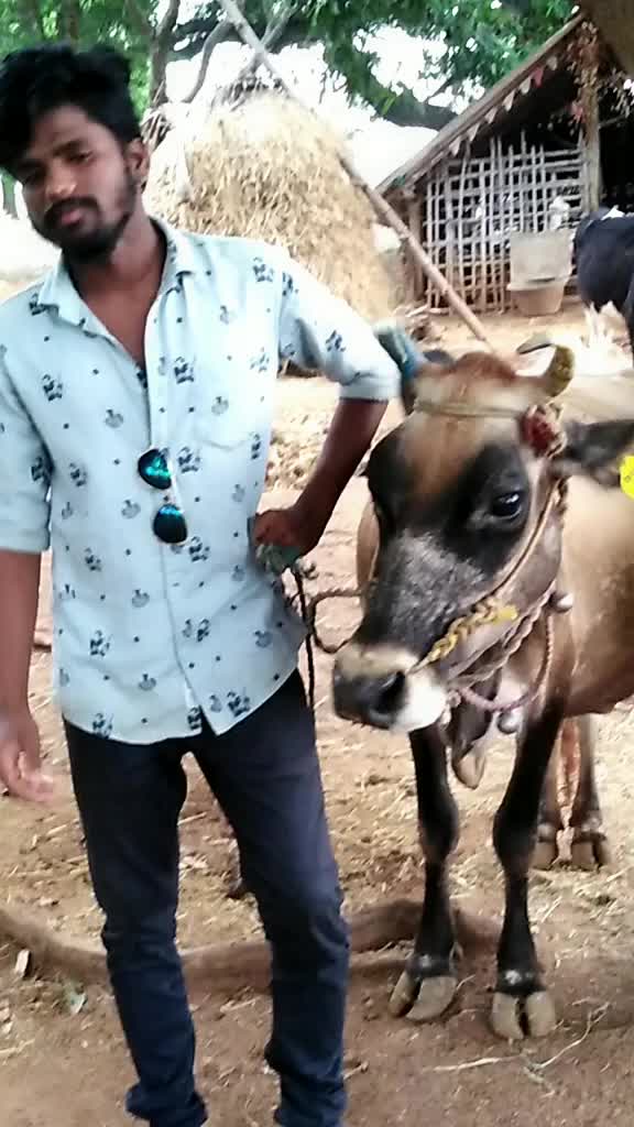 @Surya bhai