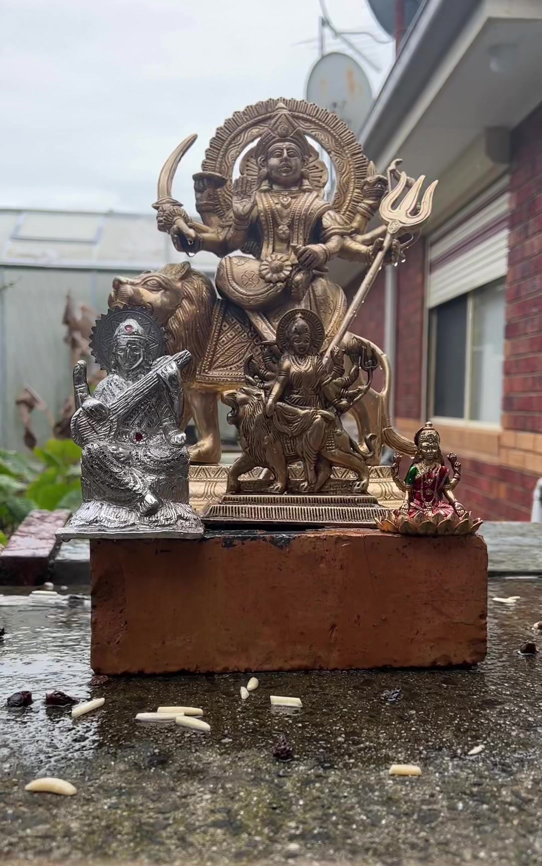 @BhaktiBrownBoi🪔🙏🏽🙏🏽