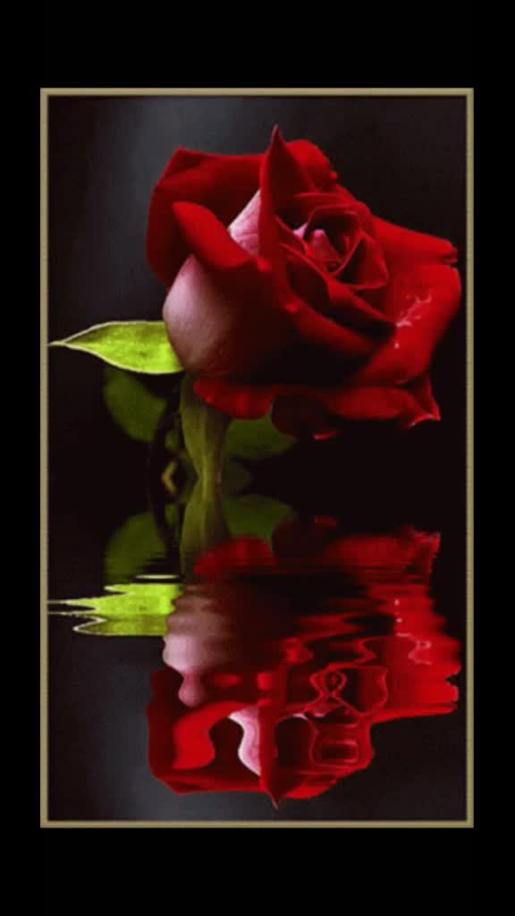 @purvi