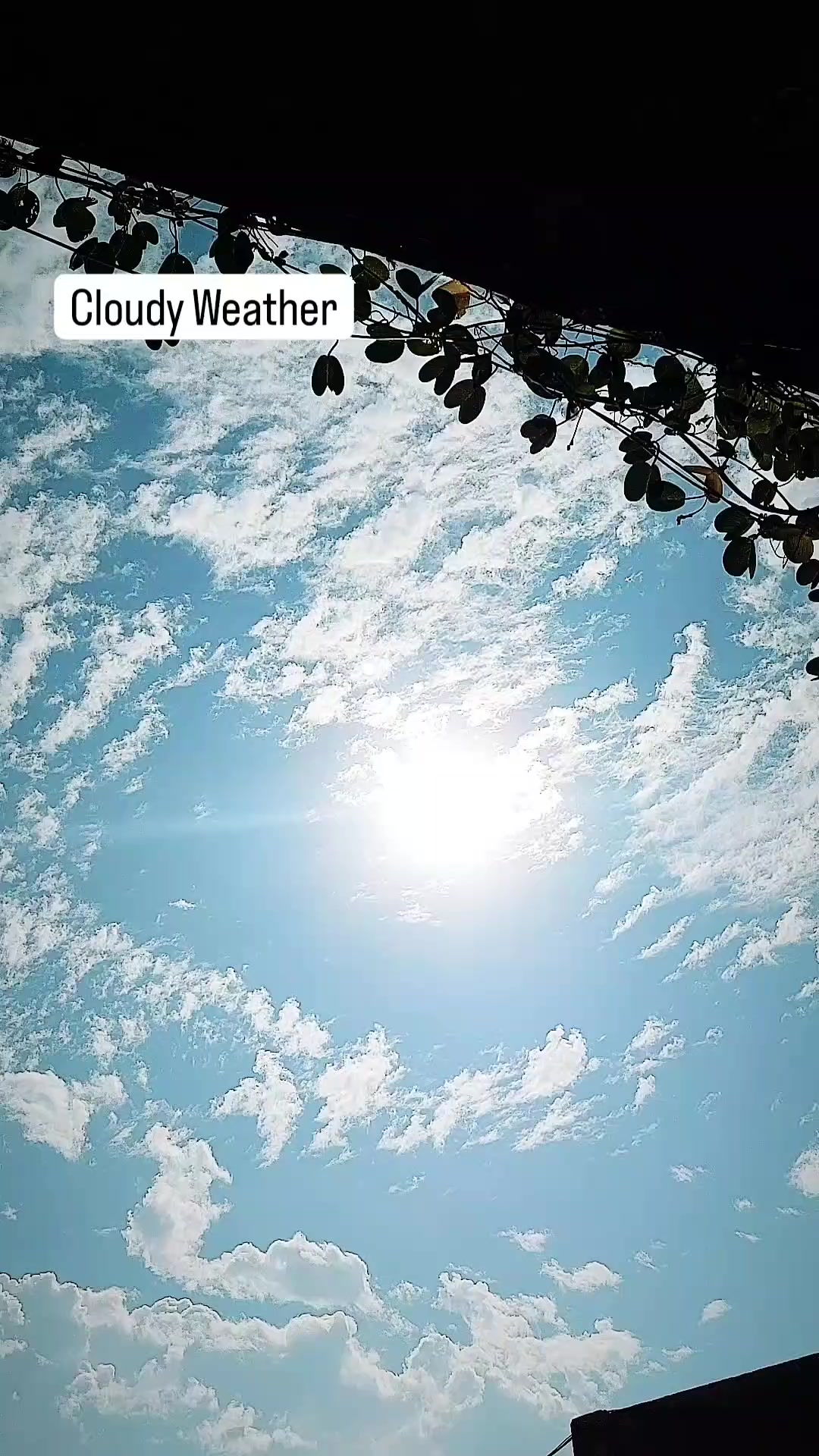 @ᏗᏰᏒᎧ 🪽
