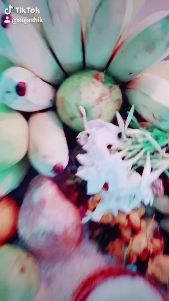 @SujAshik Nair