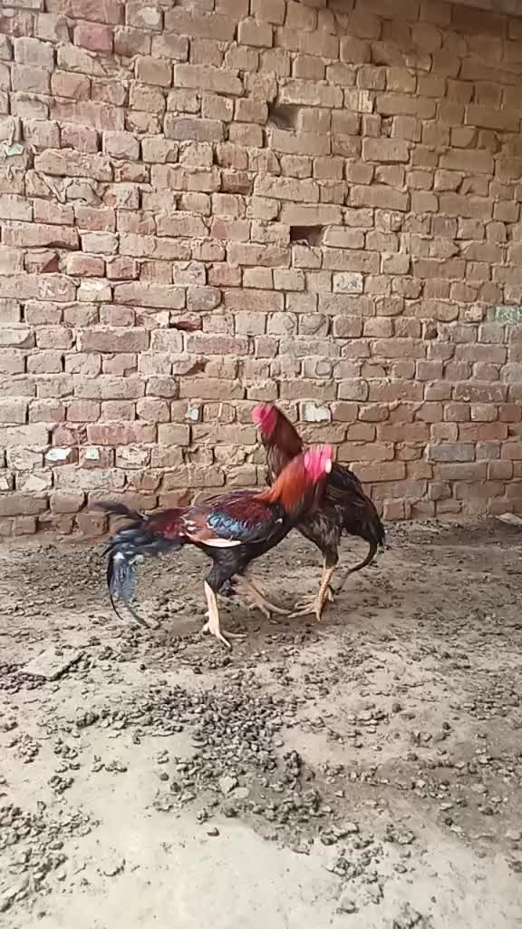 @user3359484626240