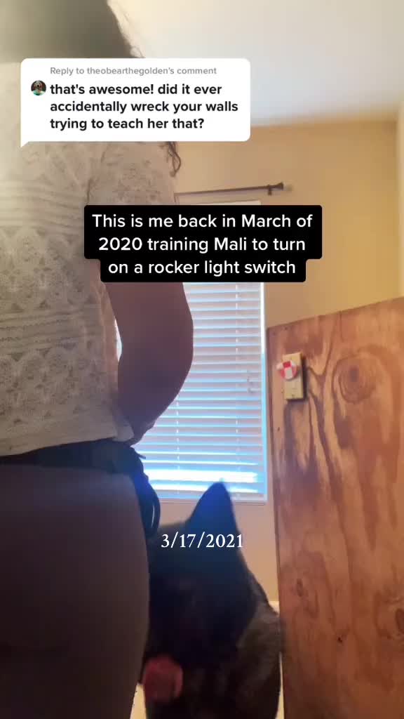 @Mali, Meadow, + Nemo 🥰❤️🥰