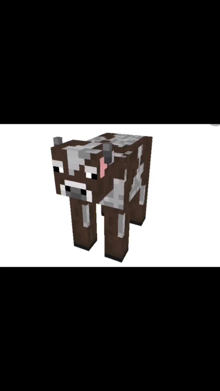 @Cow