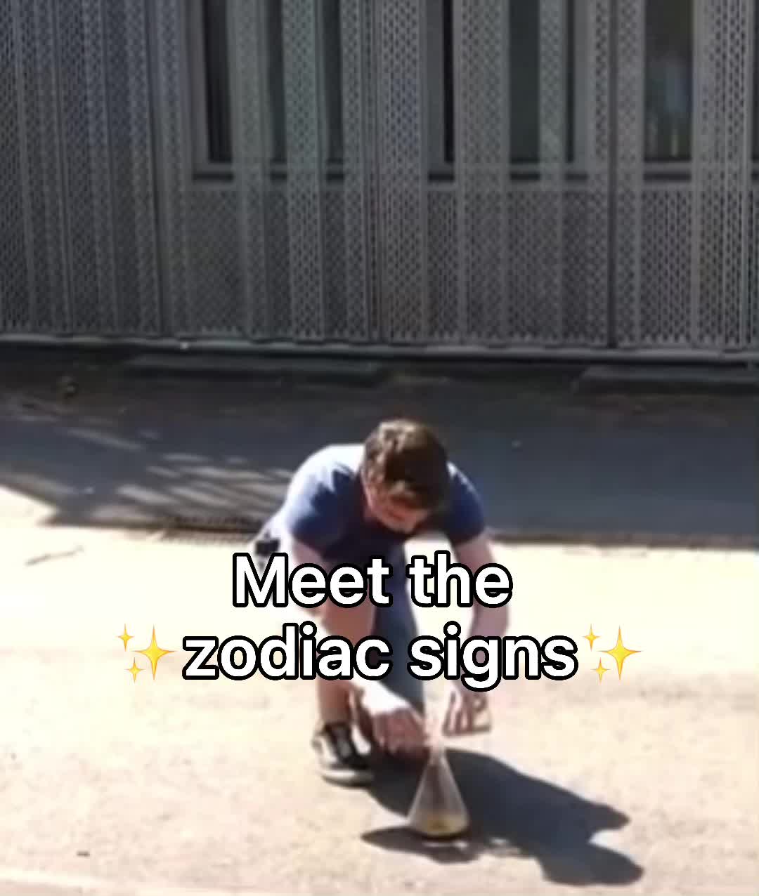 @zodiacduos