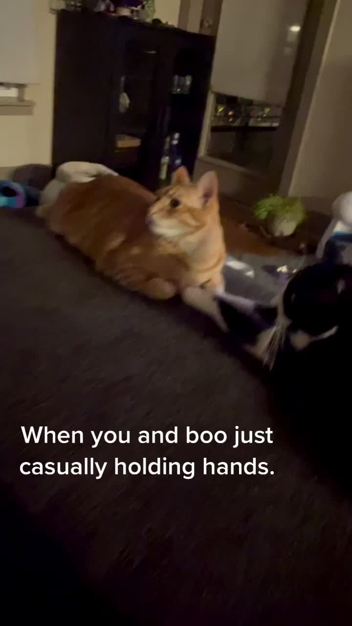 @Raja and Floof