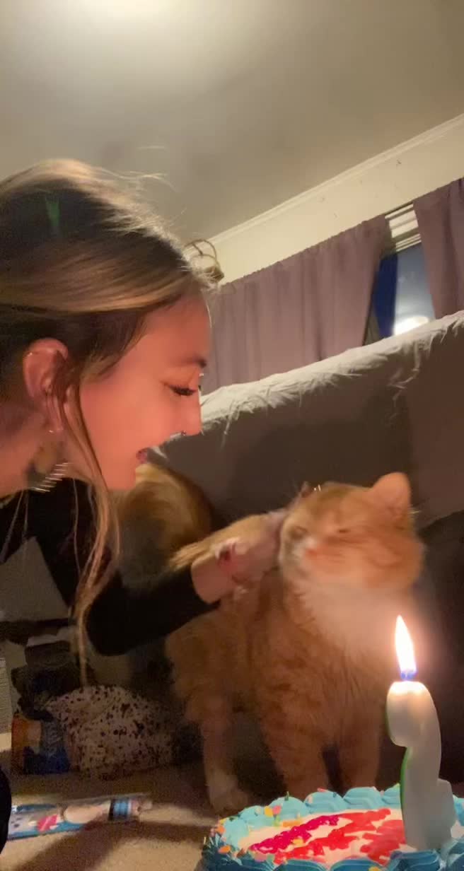 @cat