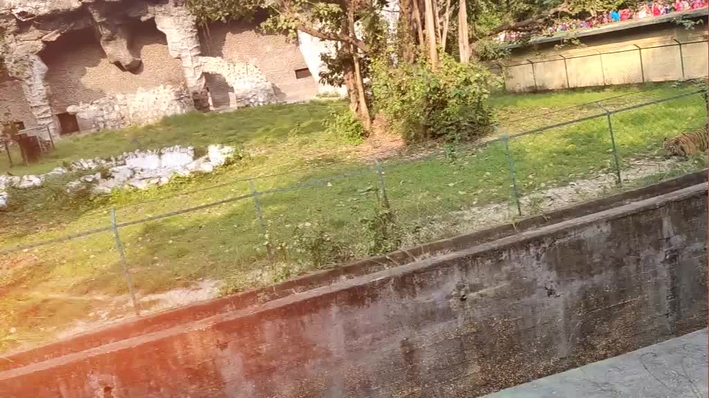 @Ankit.