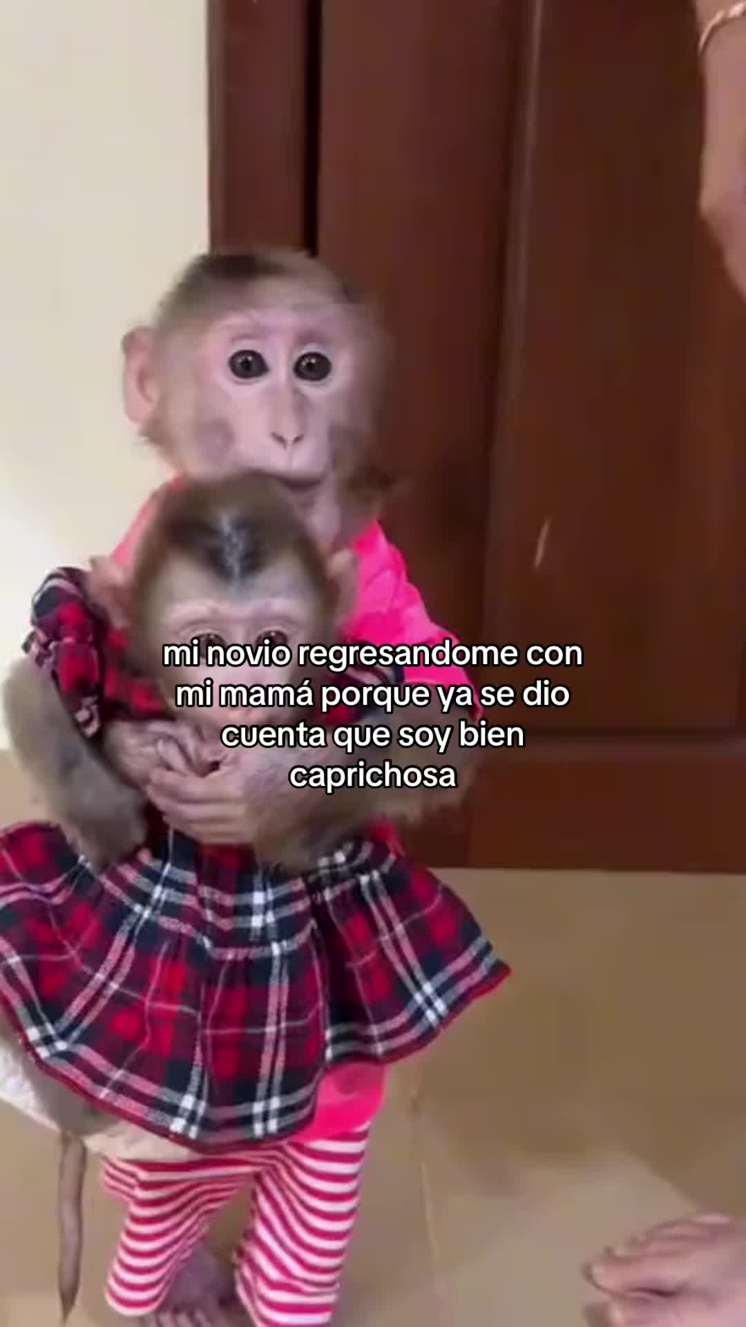 @valentina 💕