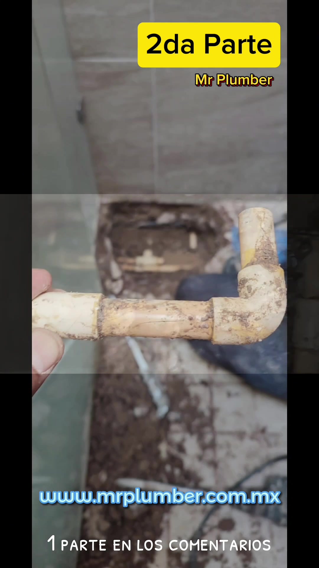 @Fontaneria MrPlumber