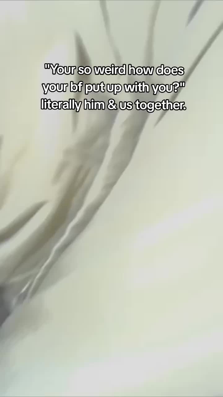 @◇˚.⋆ᏦᎩᏝᏋᏒ 🦴🐾⋆.˚◇