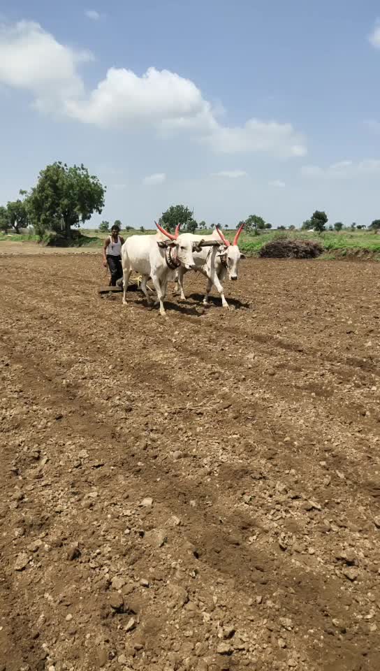 @Ganesh Mule