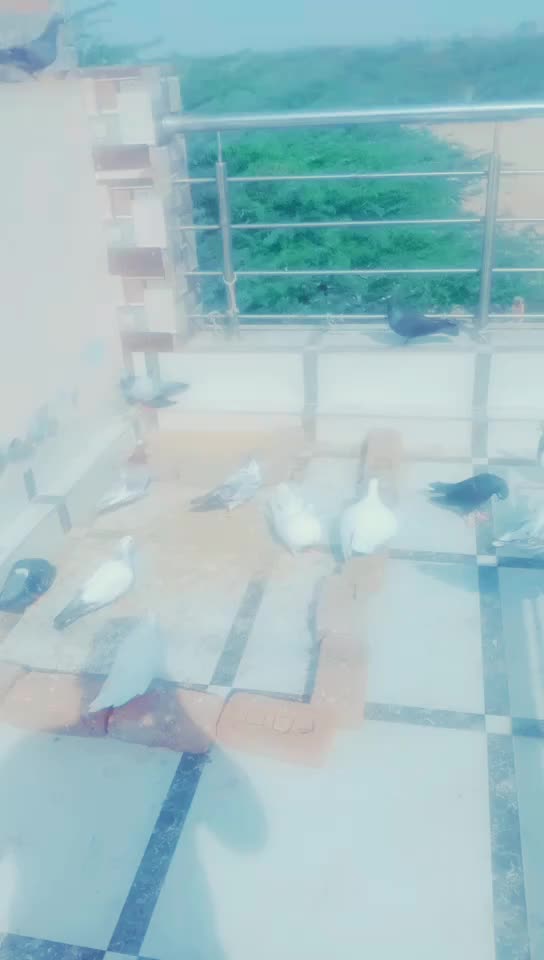 @Aman valmiki
