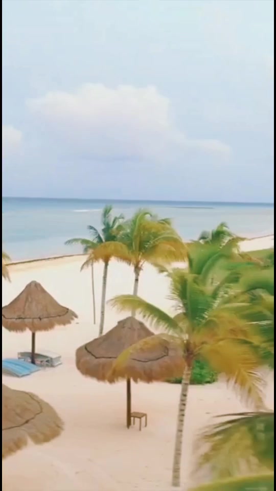 @Mau Martínez