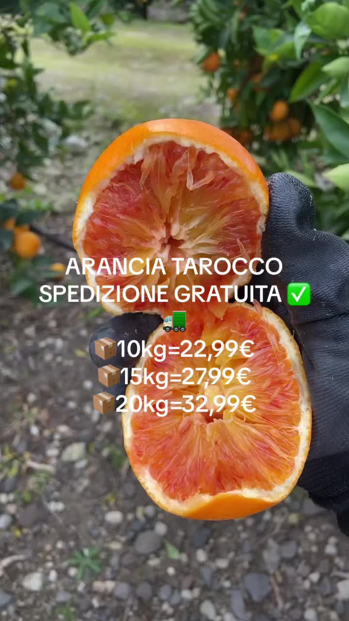 @laroccaagrumi.it