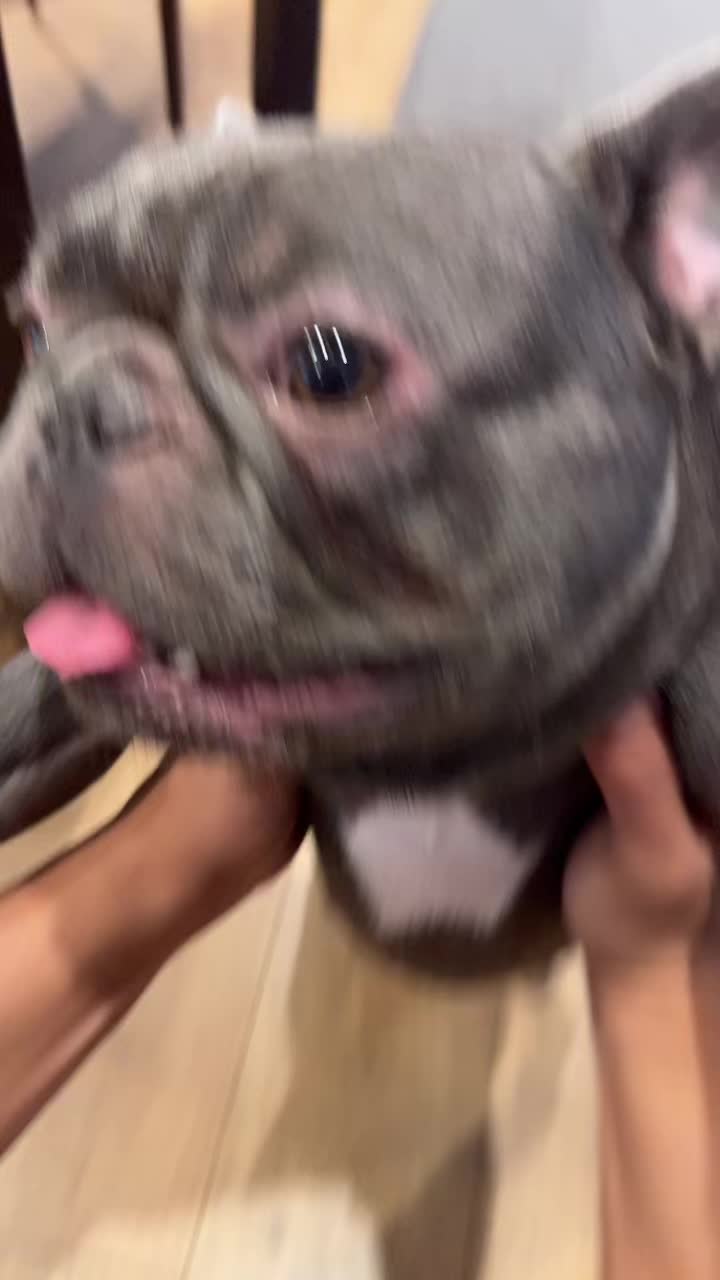 @Shaq Diesel