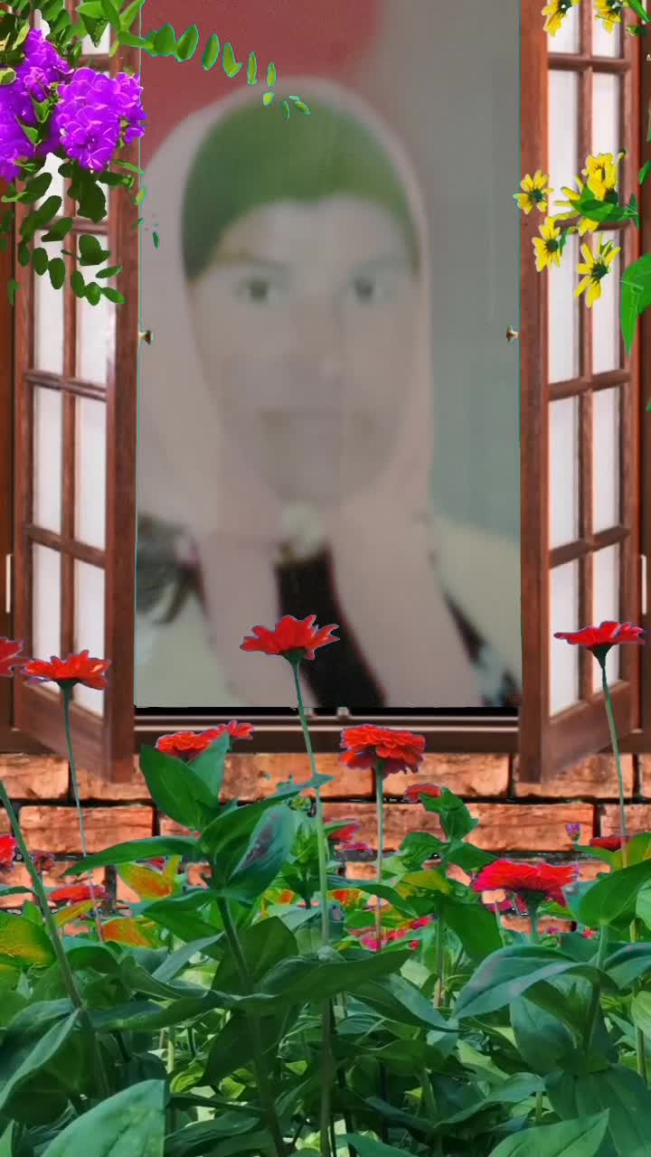 @Hakan33