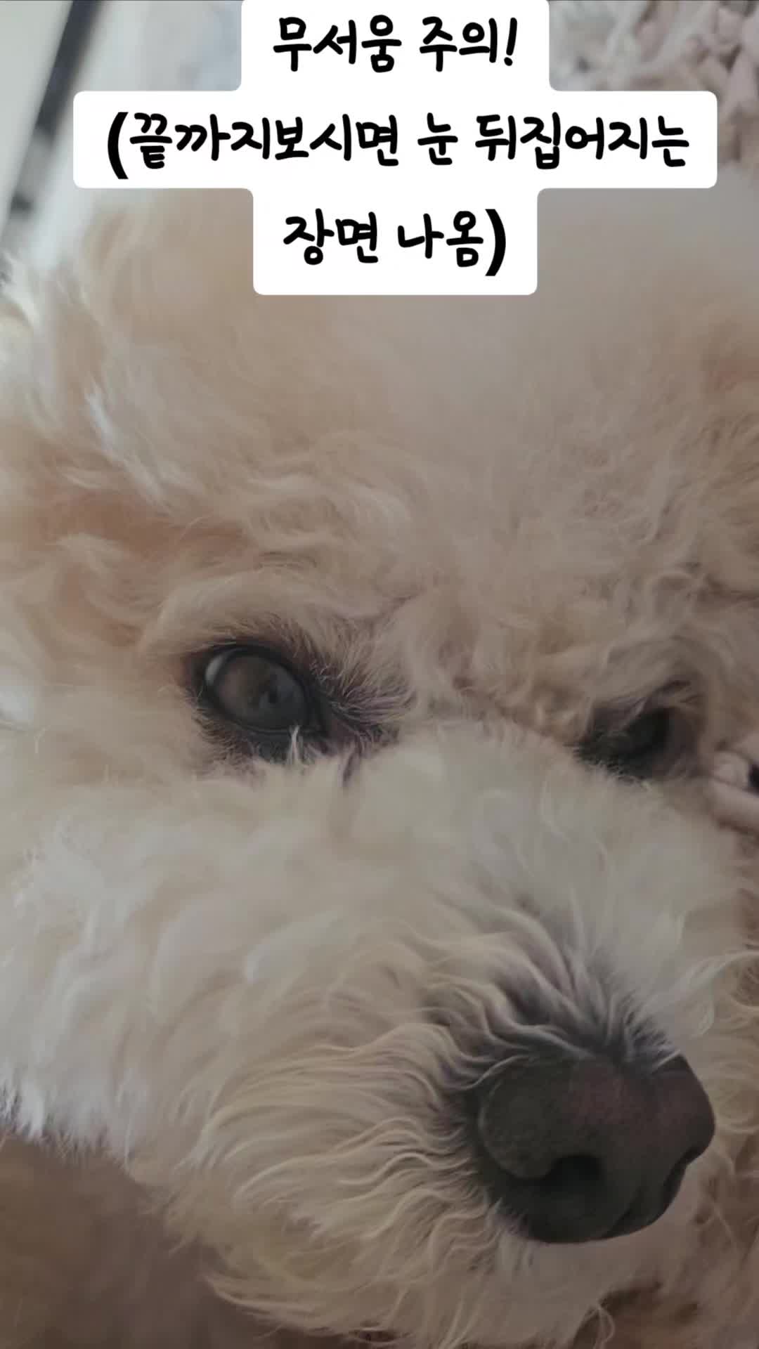 @예쁜라떼