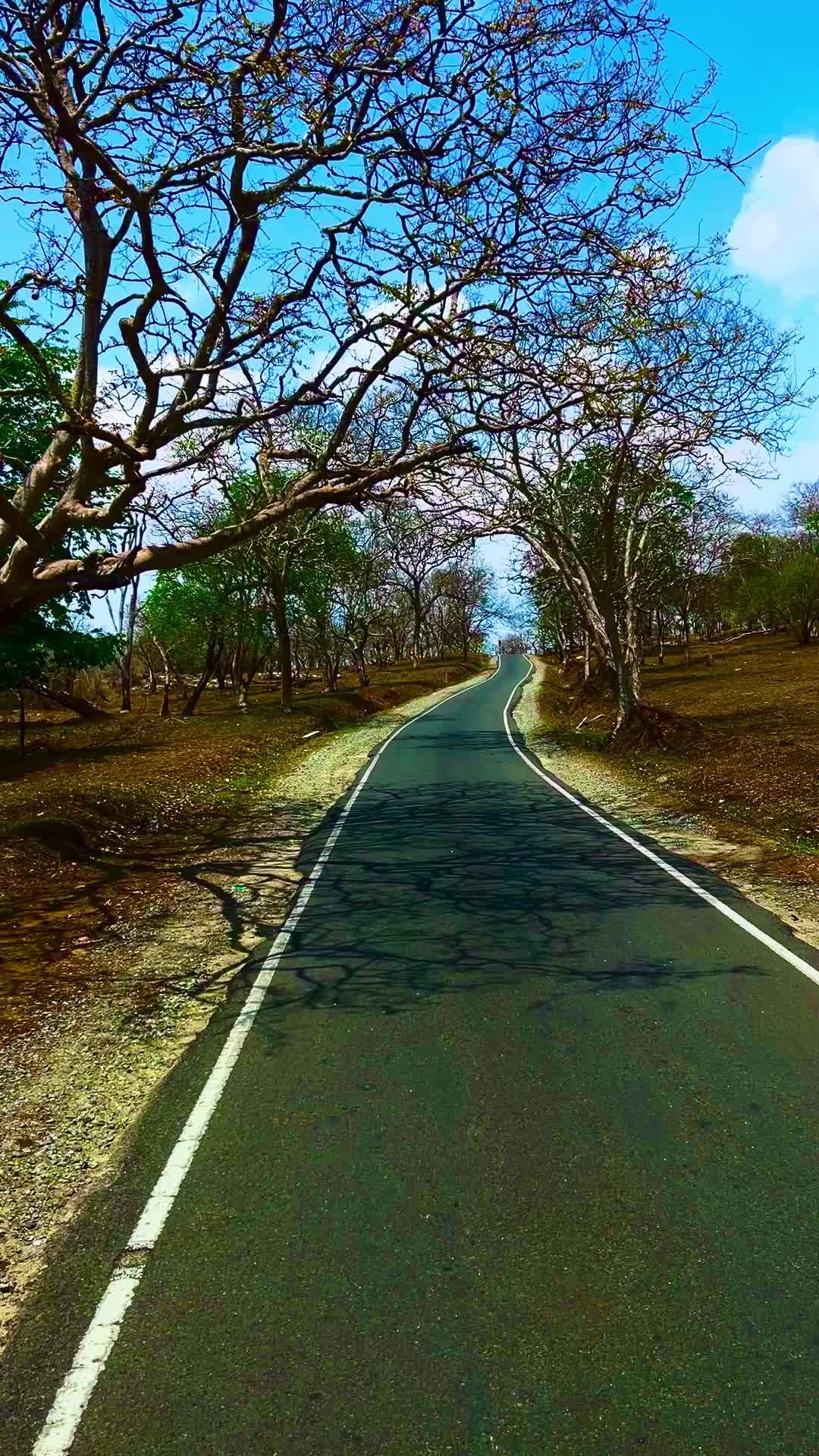 @Riyas Kallambalam